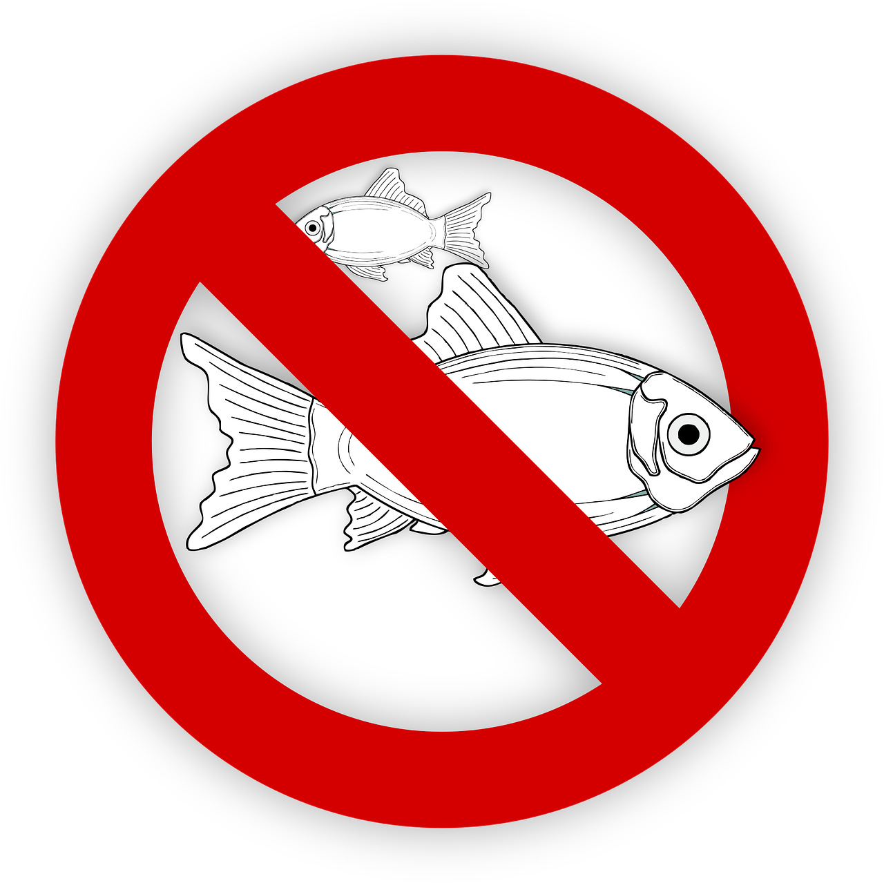 pixabay-995050-88.png